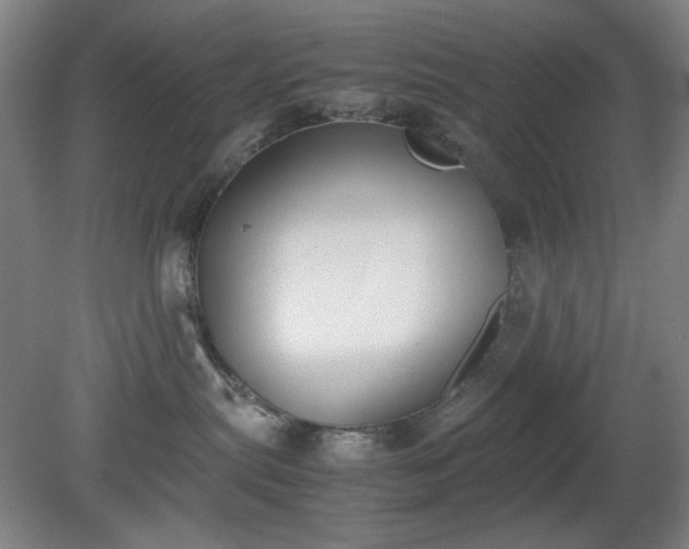 X0000081270287200701181725