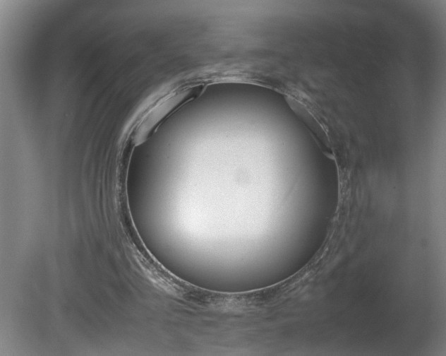 X0000081270293200701181724