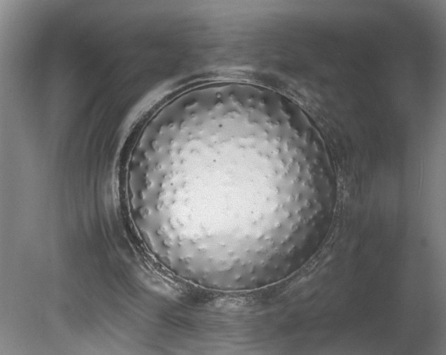 X0000081270294200701181724