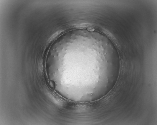 X0000081270298200701181724