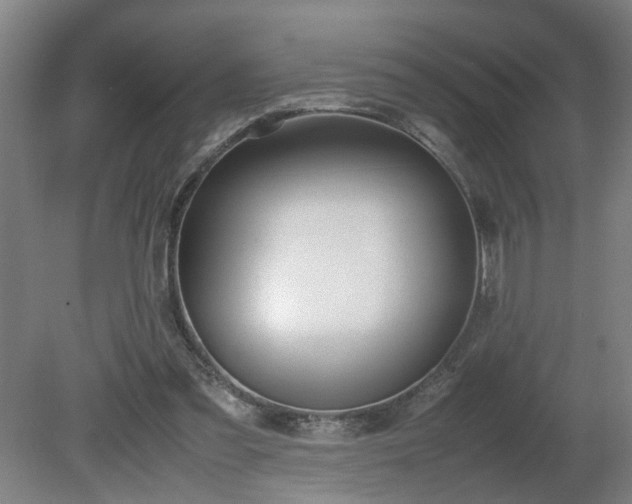 X0000081270301200701181724