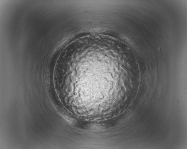 X0000081270303200701181724
