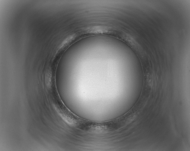 X0000081270304200701181724