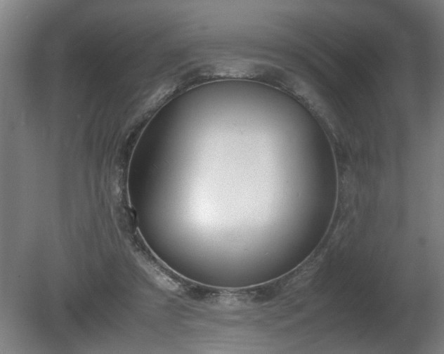 X0000081270305200701181724