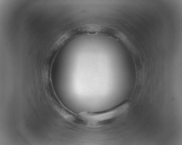 X0000081270309200701181724