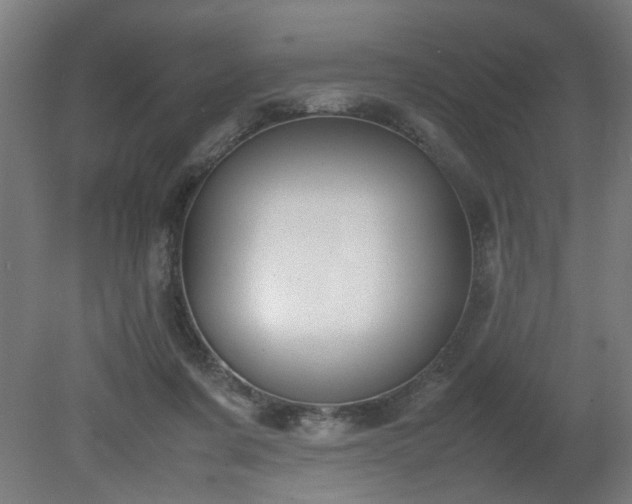 X0000081270311200701181724