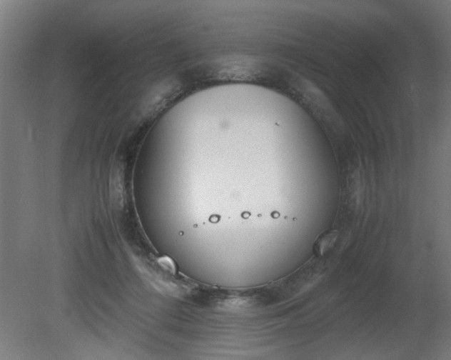X0000081270312200701181724