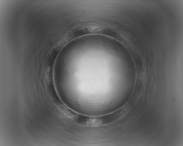 X0000081270319200701181724
