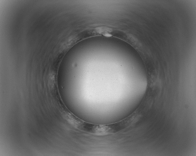 X0000081270321200701181723