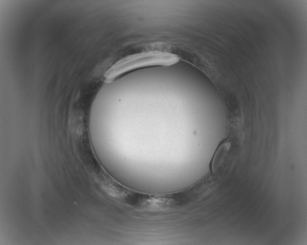 X0000081270323200701181723