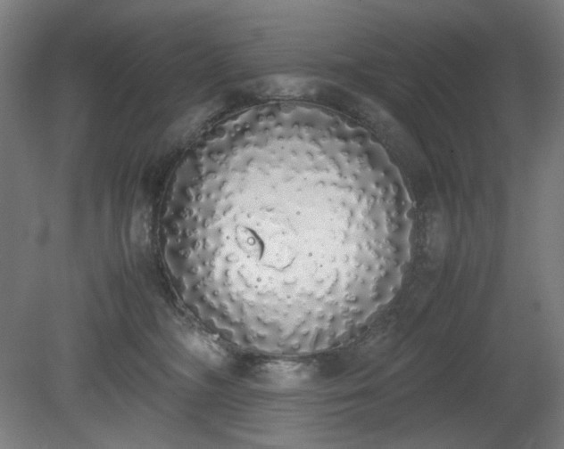X0000081270326200701181723