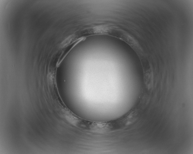 X0000081270329200701181723