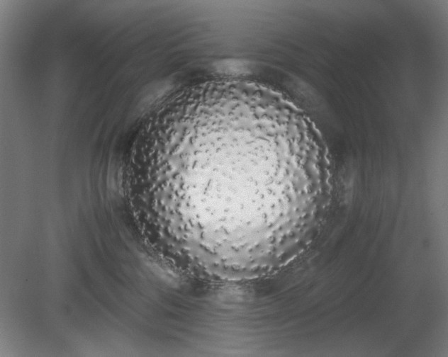 X0000081270330200701181723
