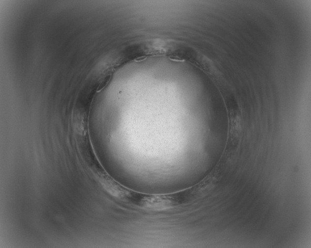 X0000081270331200701181723