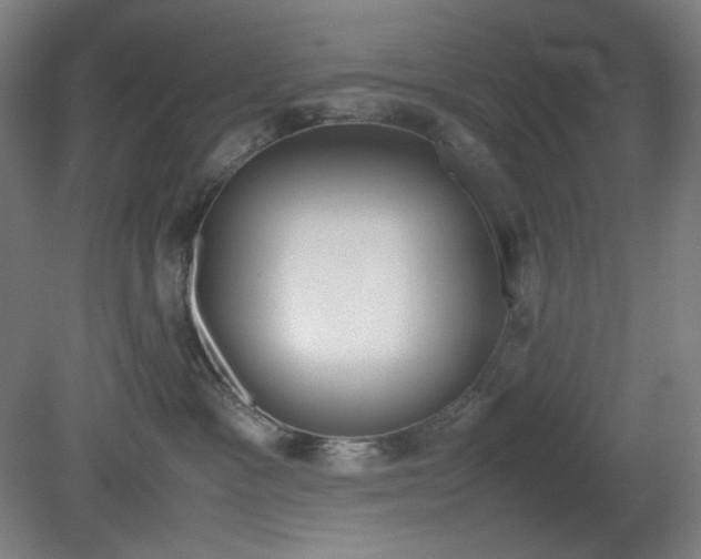 X0000081270333200701181723