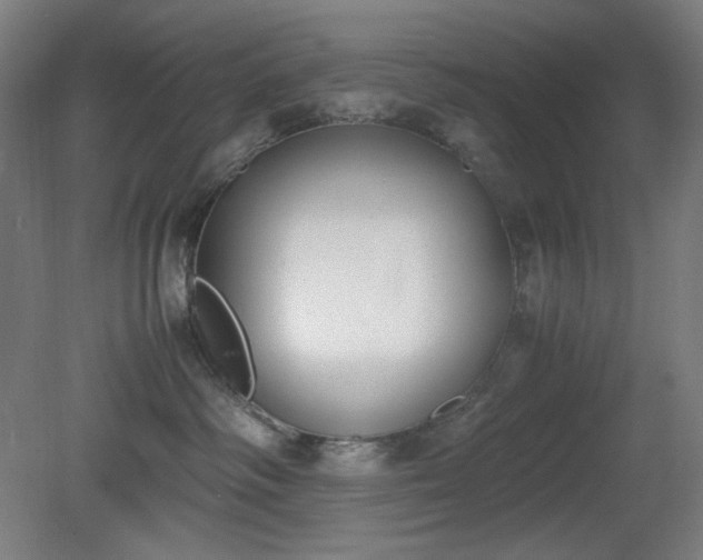 X0000081270334200701181723