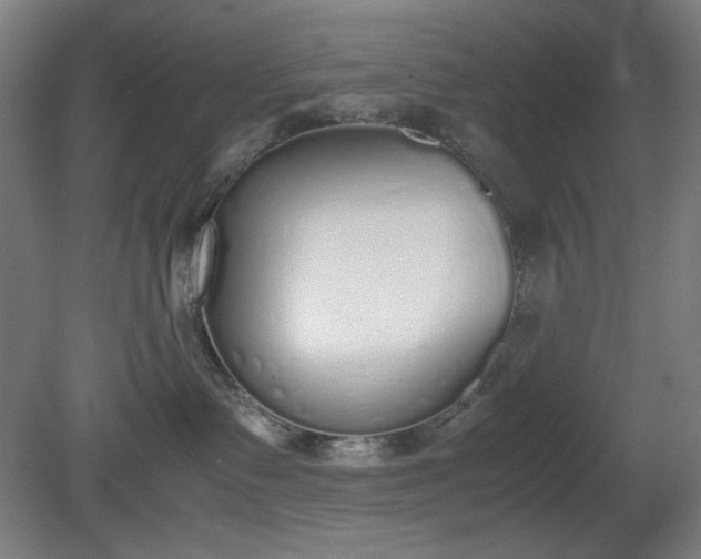 X0000081270335200701181723