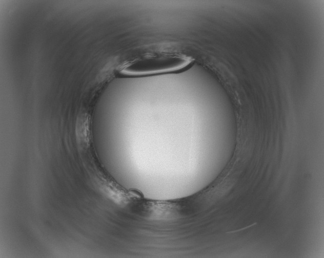 X0000081270336200701181723