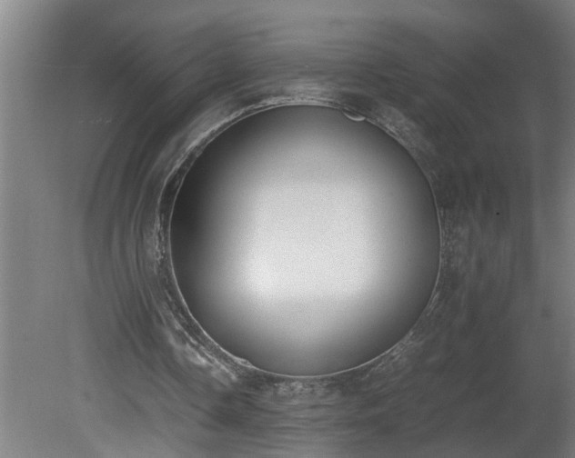X0000081270338200701181722