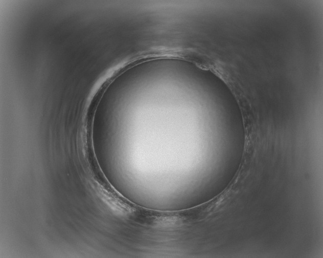 X0000081270342200701181722