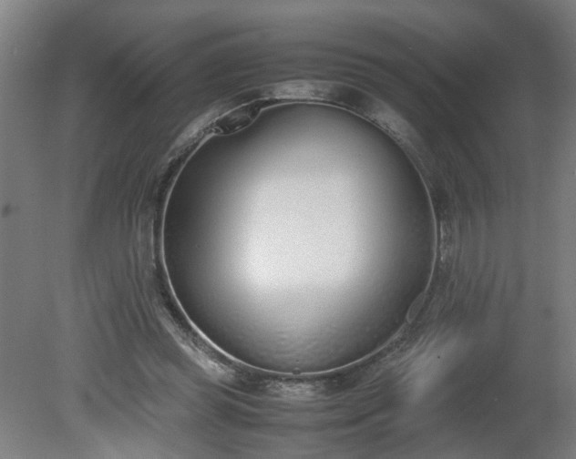 X0000081270349200701181723
