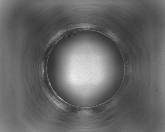 X0000081270350200701181723