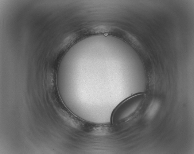 X0000081270362200701181723