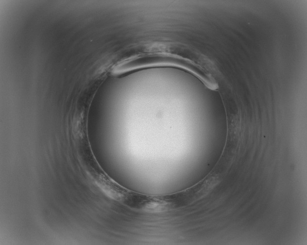 X0000081270364200701181723