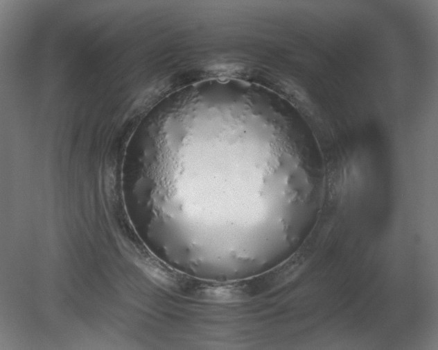 X0000081270365200701181723
