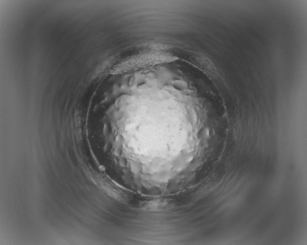 X0000081270366200701181723