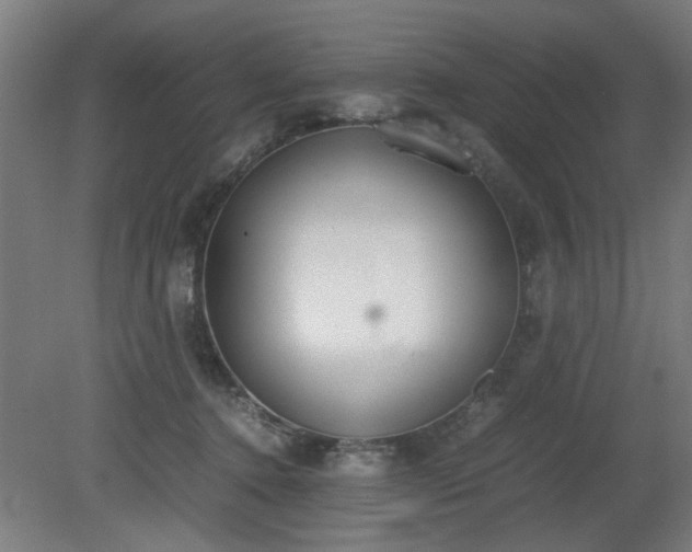 X0000081270368200701181723