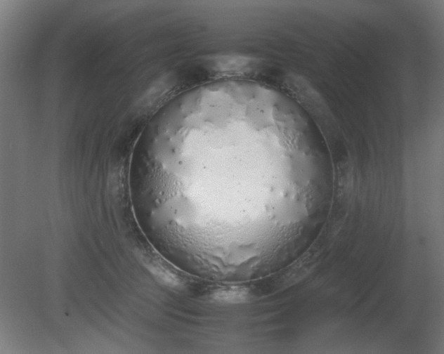 X0000081270369200701181723