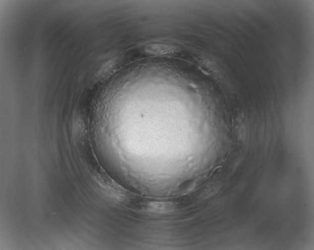 X0000081270371200701181723