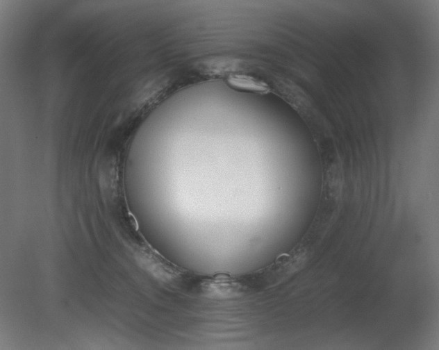 X0000081270372200701181723