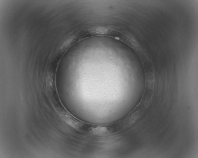 X0000081270374200701181723