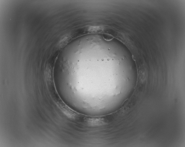 X0000081270375200701181723