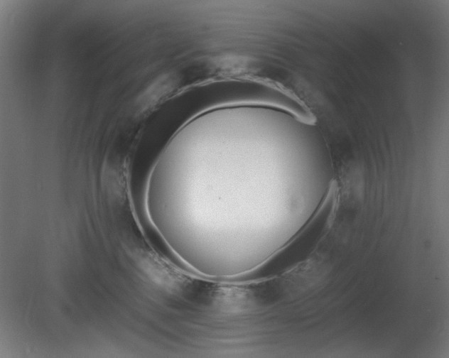 X0000081270376200701181723