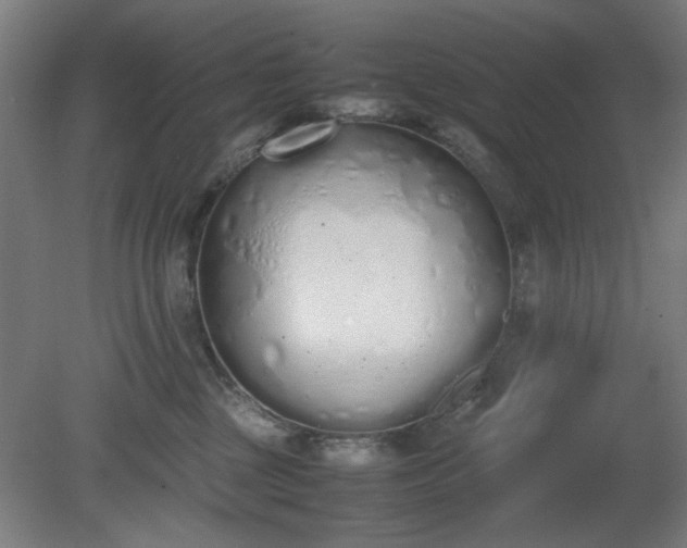 X0000081270377200701181723