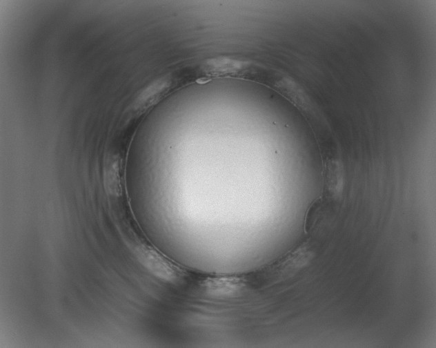 X0000081270378200701181723