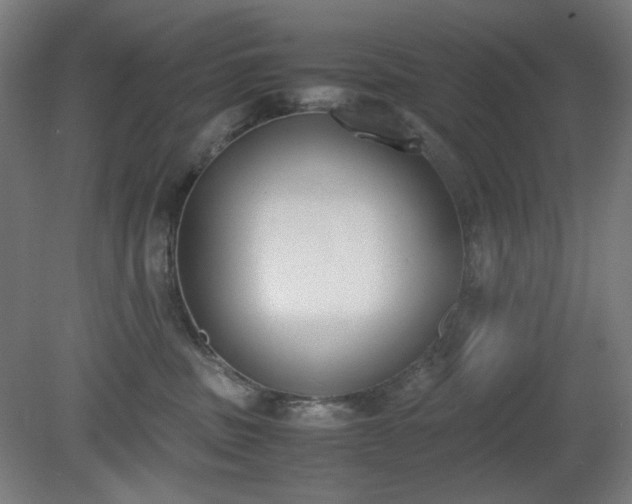 X0000081270379200701181723