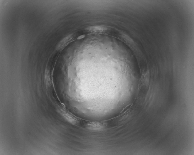 X0000081270381200701181723