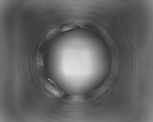 X0000081270384200701181723