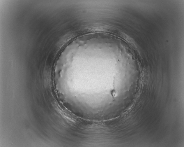 X0000081270386200701181722