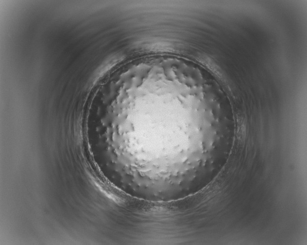 X0000081270390200701181722