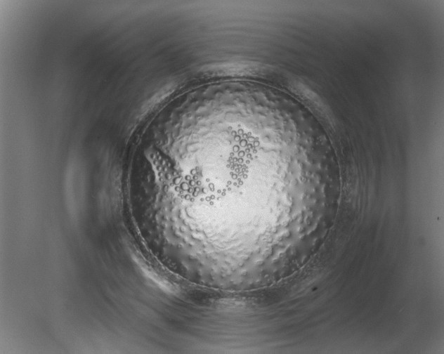 X0000081270394200701181722