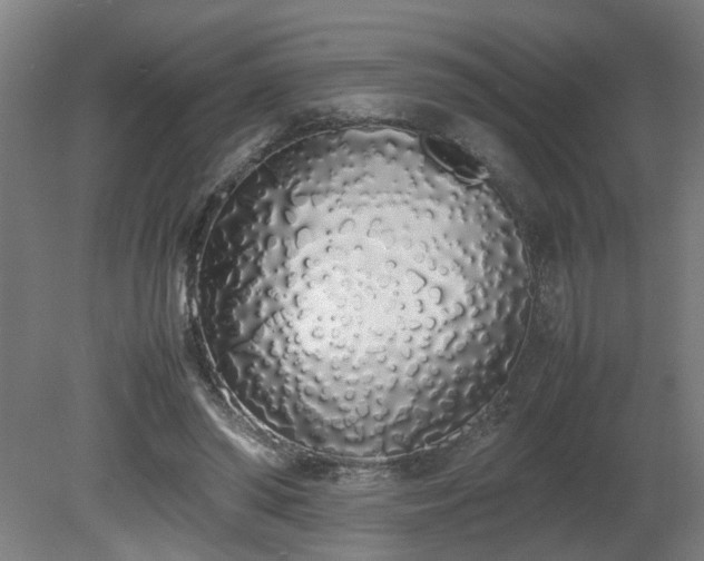 X0000081270398200701181722