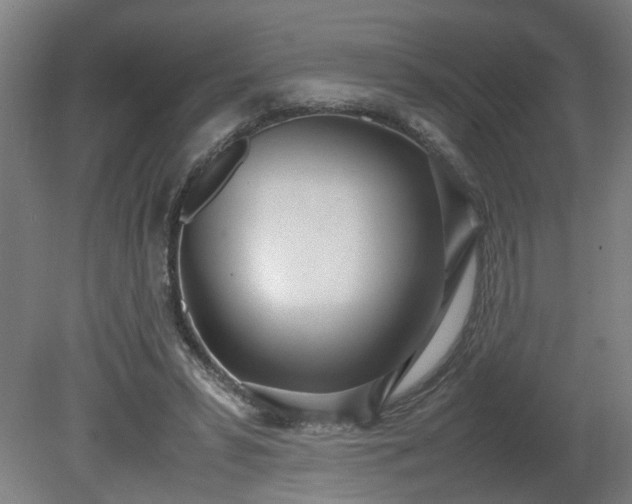X0000081270399200701181722
