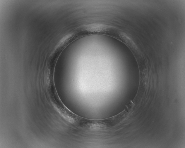 X0000081270400200701181722