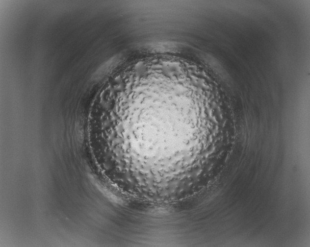 X0000081270402200701181722
