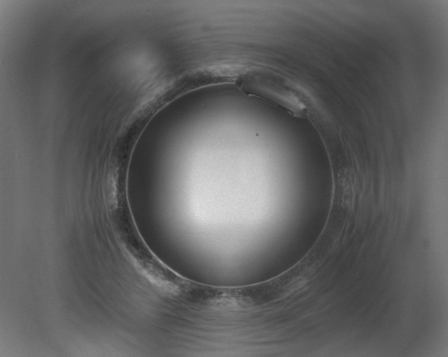 X0000081270404200701181722